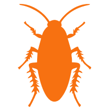 ゴキブリのアイコン