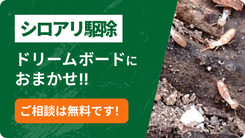 シロアリ駆除はドリームボードにおまかせ！！