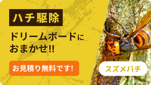 ハチ駆除はドリームボードにおまかせ！！