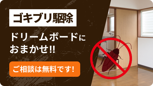 ゴキブリ駆除はドリームボードにおまかせ！！