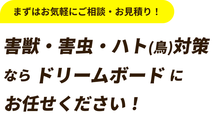 害獣・害虫・野鳥対策ならドリームボードにお任せください！