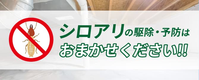 シロアリの駆除・予防はおまかせください！！