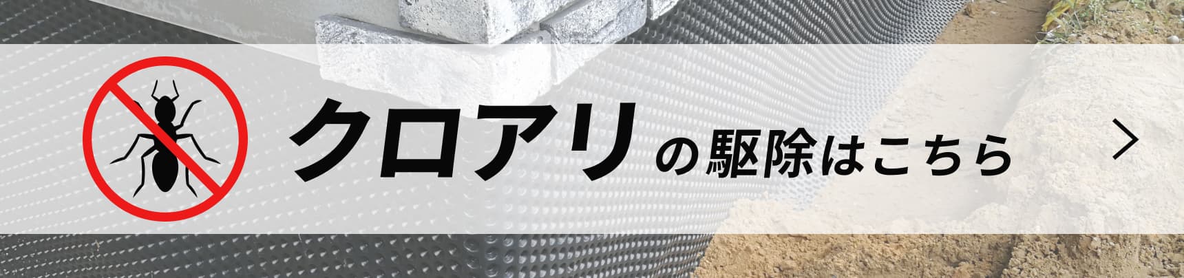 クロアリの駆除はこちら