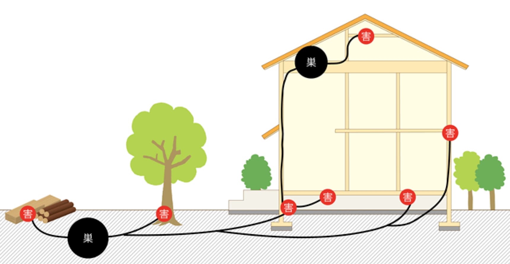 ヤマトシロアリの被害