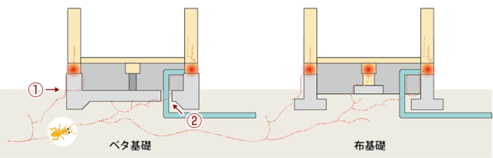 シロアリの侵入経路