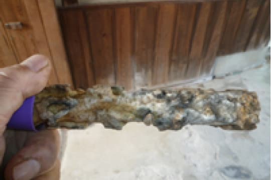 食べられたベイト剤