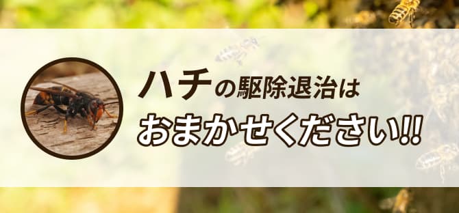 ハチの駆除・侵入防止はおまかせください！