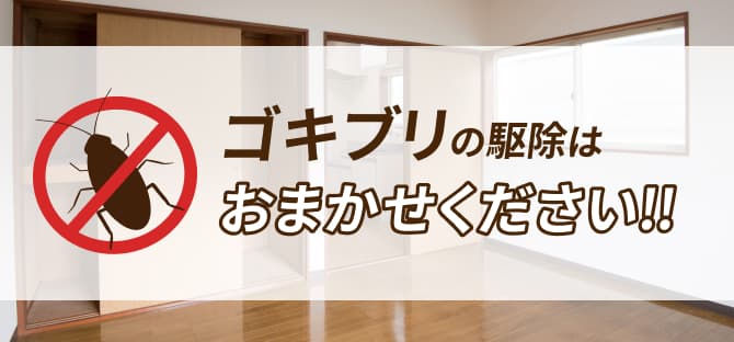 ゴキブリの駆除・侵入防止はおまかせください！