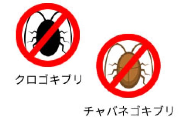 ゴキブリ駆除