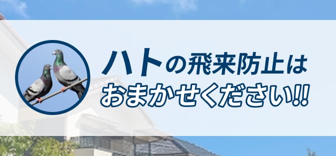 ハトの飛来防止はおまかせください！！