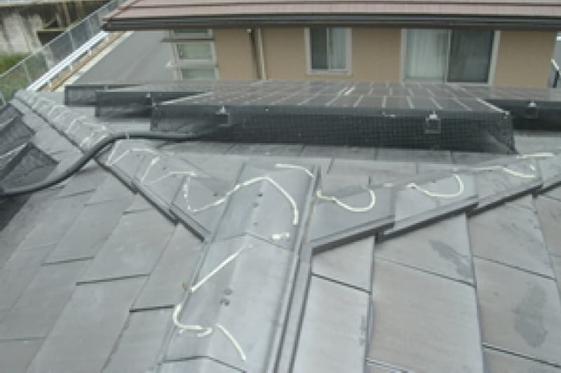 ネットと忌避剤