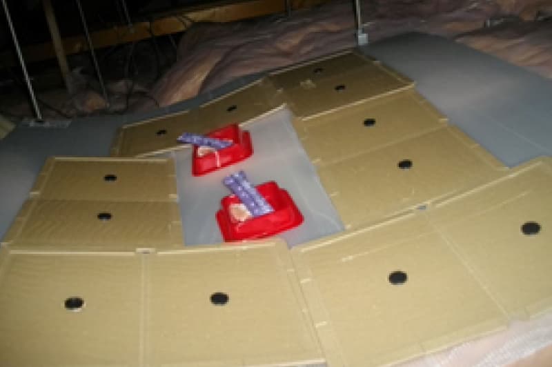 捕獲シートと殺鼠剤