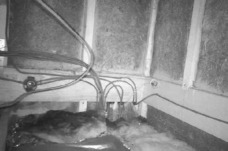 天井裏のネズミ