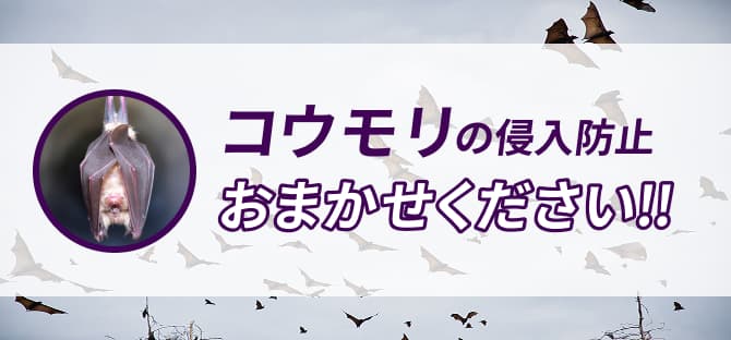 コウモリの侵入防止　おまかせください！