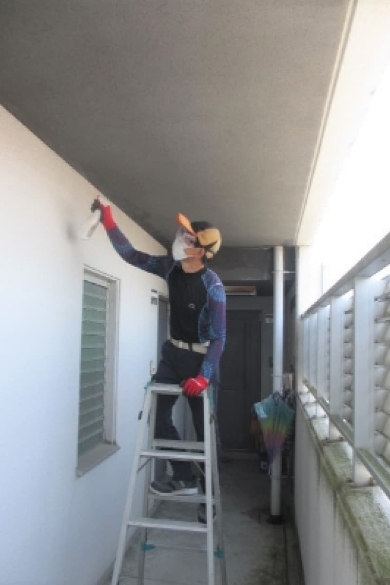 通路上に忌避剤散布