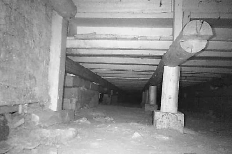 床下に侵入するハクビシン