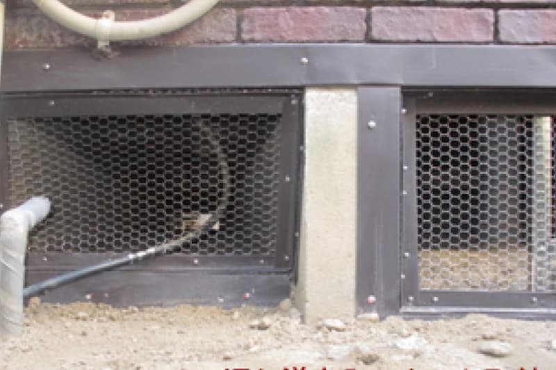 通り道出入口ネット取付けて対策！