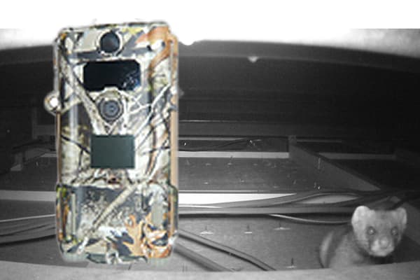 センサーカメラ