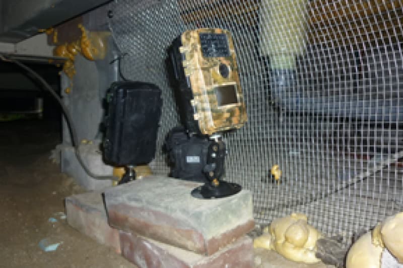 暗視センサーカメラ設置