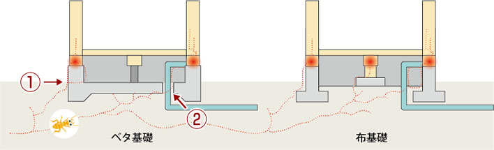 シロアリ侵入経路1