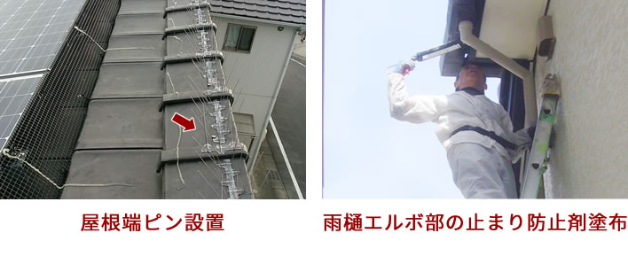 屋根ハト対策、高所作業画像