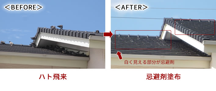 屋根ハト対策施工例